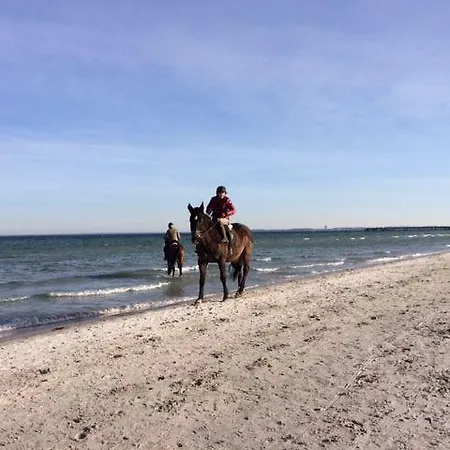 Riviera-seeblick-aussenschwimmbad-riv-14